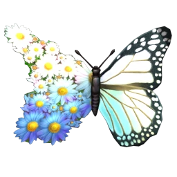 Cosmos Chiricahua Flower Wings