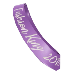 Fashion King 2019 Sash