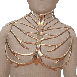 Ikon Elite Metallic Rib Harness