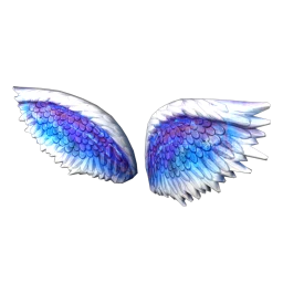 USAesthetic City of Angels Wings