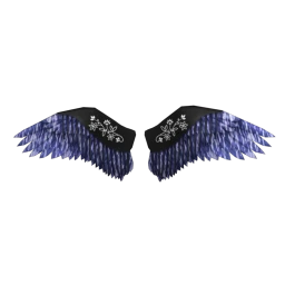 USAesthetic Bluegrass Wings