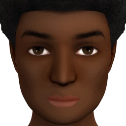 Everyday Contour (High Beauty Spot) - Dark