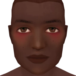 Flawless Cute Embarrassment Blusher - Dark