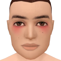 Flawless Cute Embarrassment Blusher - Light