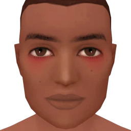 Flawless Cute Embarrassment Blusher - Tan