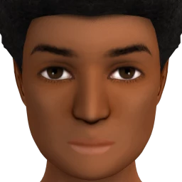 Flawless Summer Sunshine Contour (Dark)