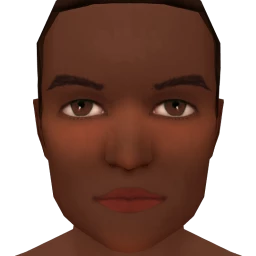 Flawless Ample Blush Contour