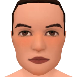 Flawless Thin Blush Contour