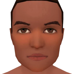 Flawless Loose Blush Contour