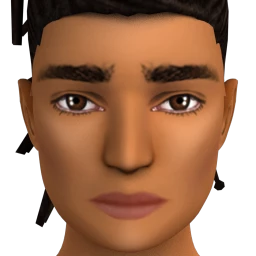 Flawless Everyday Contour  - Tan