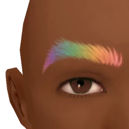 Flawless True Self Rainbow Eyebrows