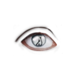 Black Rainbow Visitation Eyes