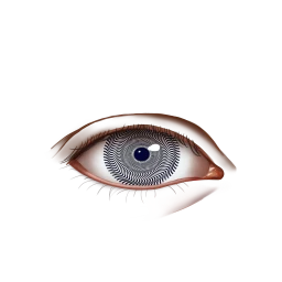 Black Rainbow Focus Eyes