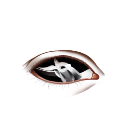 Black Rainbow Spectre Eyes