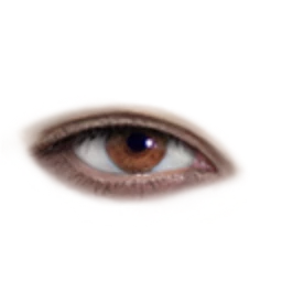 Flawless Approved Confidence Eyes