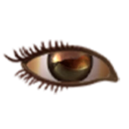 Flawless Golden Illumination Eyes