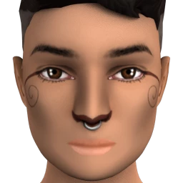 Cosmos Woodland Creature Facepaint