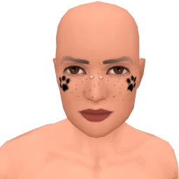 Flawless Kitty Kat Face Paint