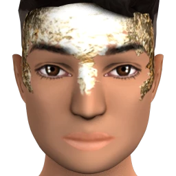 Flawless Golden Wonder Facepaint