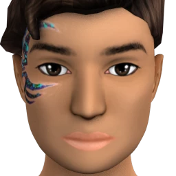 Flawless Shining Lotus Facepaint 