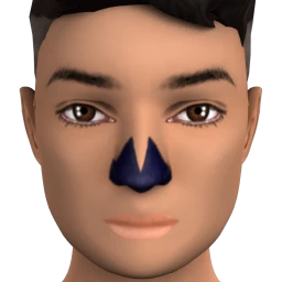 Flawless Skeleton Nose Facepaint