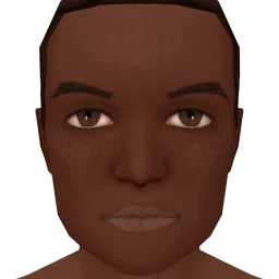 Flawless Dark Freckles Facepaint