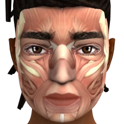 Cosmos Muscle Man Facepaint