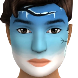 Snowscape Facepaint
