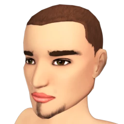 The Extended Soul Patch