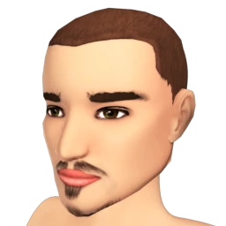 The Subtle Royale Beard