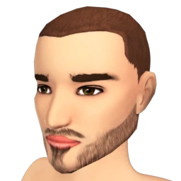 The 5 O'clock Shadow