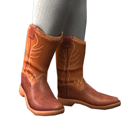 Farm Festival Cowboy Boots