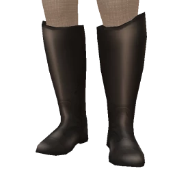 Cosmos Wild Horses Boots