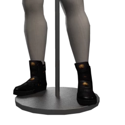 Foal No Conflict Trainers