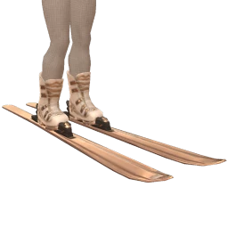 Ikon Elite Ski Boots With Skis