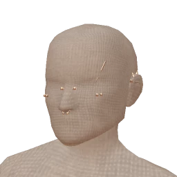 Delirious Rogue Rebellion Face Piercings