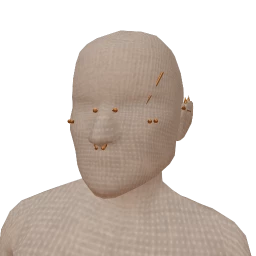 Delirious Bronze Face Piercings