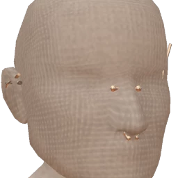 Delirious Steel Strike Face Piercings