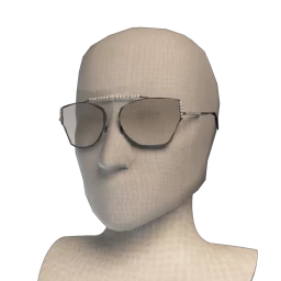 Front Row Fame Sunglasses