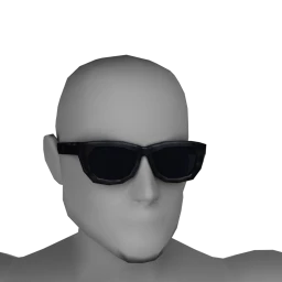 NMS Into Focus Sunglasses