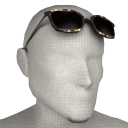 Front Row Brentwood Sunglasses - Raised