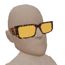 USAesthetics Tortoiseshell Sunglasses