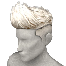 The Carwyn (Platinum)