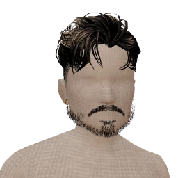 The Romeyo - Blonde Tips