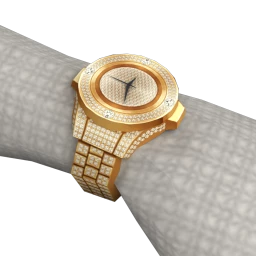 Bijouterie Regulus Diamond Watch