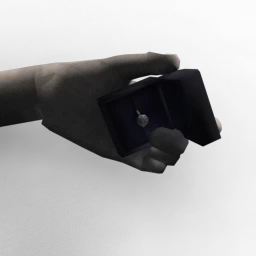 Will You Marry Me? Ring in Box