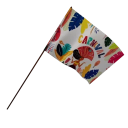 Carnival 2020 Flag