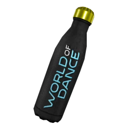World of Dance Insulating Water Bottle