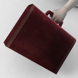 Honey, I'm Home! Briefcase