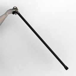 In Royal Attendance Cane